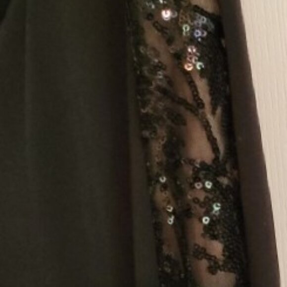 New Connected Black Nude  Sequined Illusion Sz 6 Gown - Picture 3 of 4